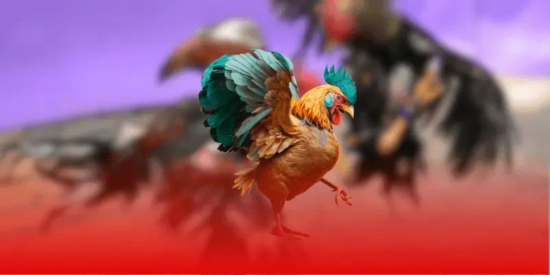 Nâng Cao Trải Nghiệm Người Dùng